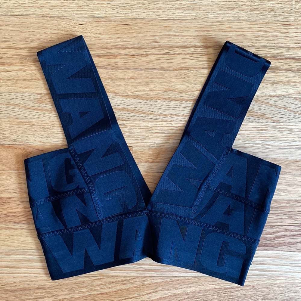 Alexander Wang x H&M